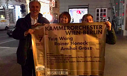 Musikverein, Grosser Saal