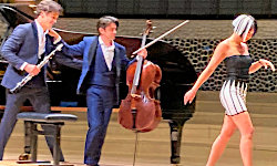 Elbphilharmonie, Grosser Saal